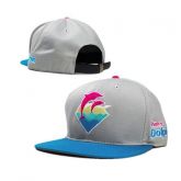 Snapback Pink Dolphin 02